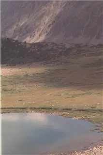 small_9400 0652 ca princeton etcImg0067.webp